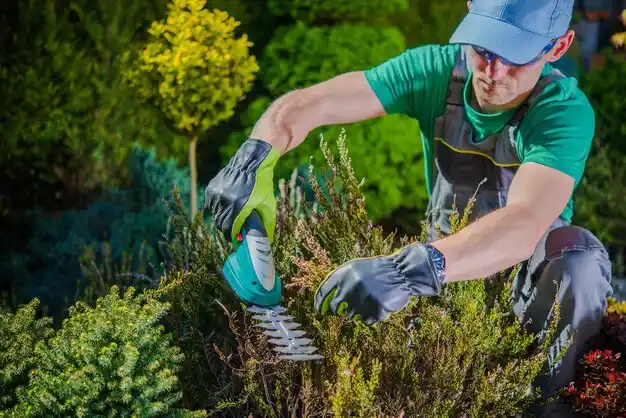 landscaping services Belleville
